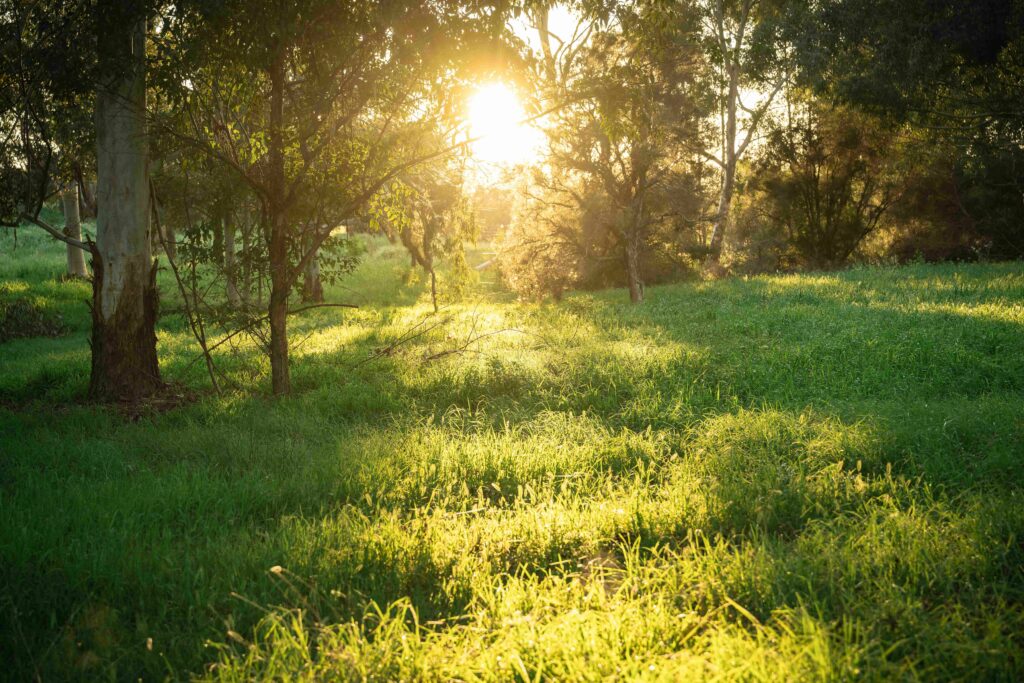 Piara Waters New Generation Homes