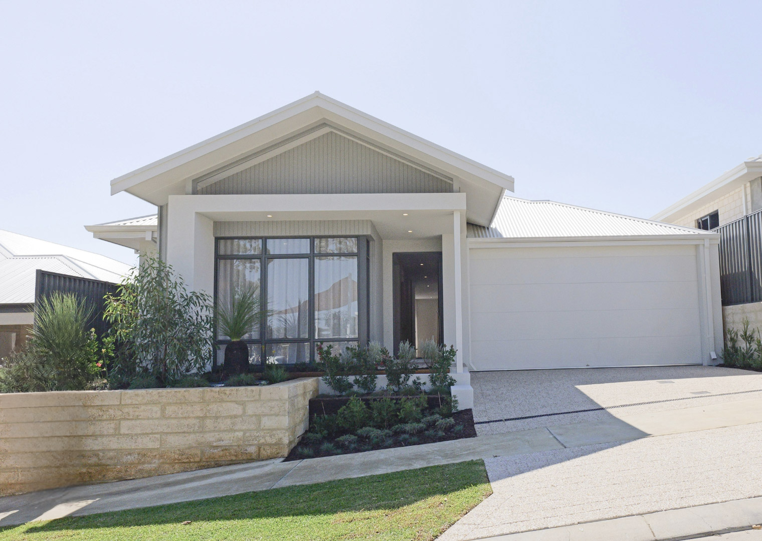 Lomandra Grandeur - Elevation